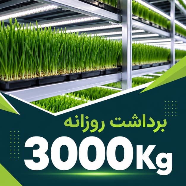 پکیج برداشت حدودی 3000 کیلوگرم روزانه علوفه هیدروپونیک
