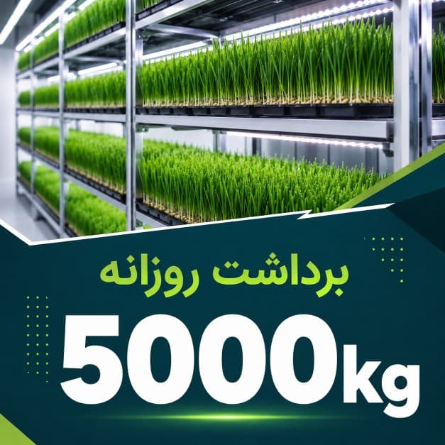 پکیج برداشت حدودی 5000 کیلوگرم روزانه علوفه هیدروپونیک
