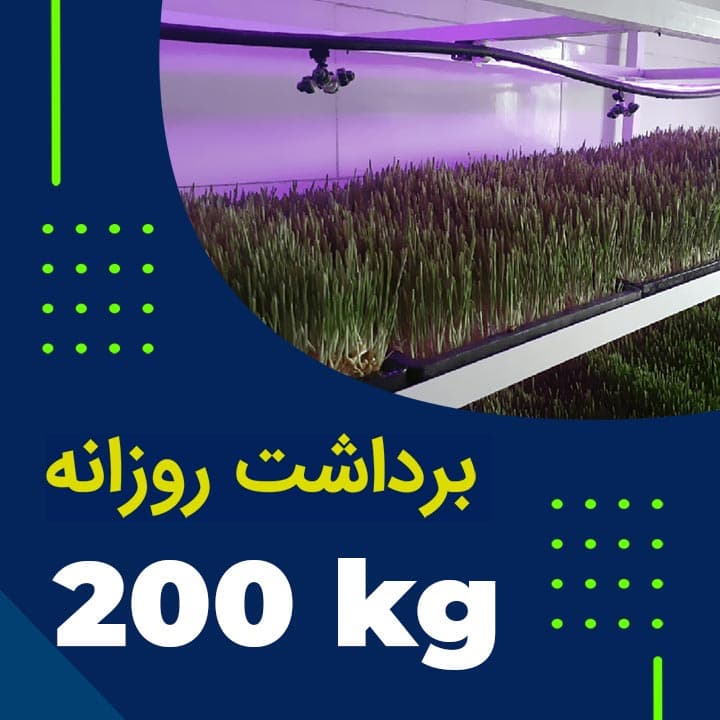 پکیج برداشت حدودی 2000 کیلوگرم روزانه علوفه هیدروپونیک — تصویر ۳
