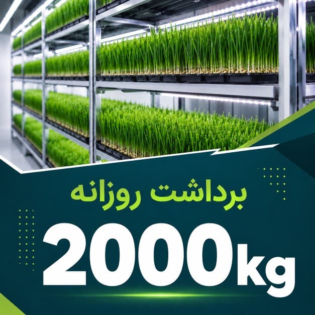 پکیج برداشت حدودی 2000 کیلوگرم روزانه علوفه هیدروپونیک
