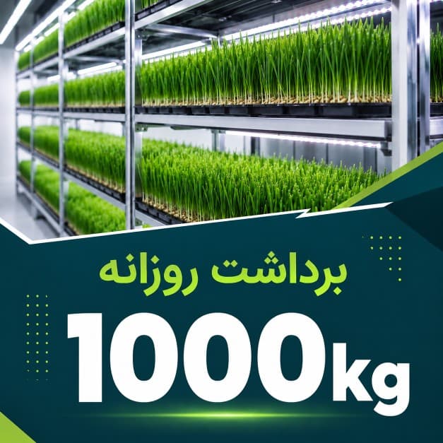 پکیج برداشت حدودی 1000کیلوگرم روزانه علوفه هیدروپونیک — تصویر ۳