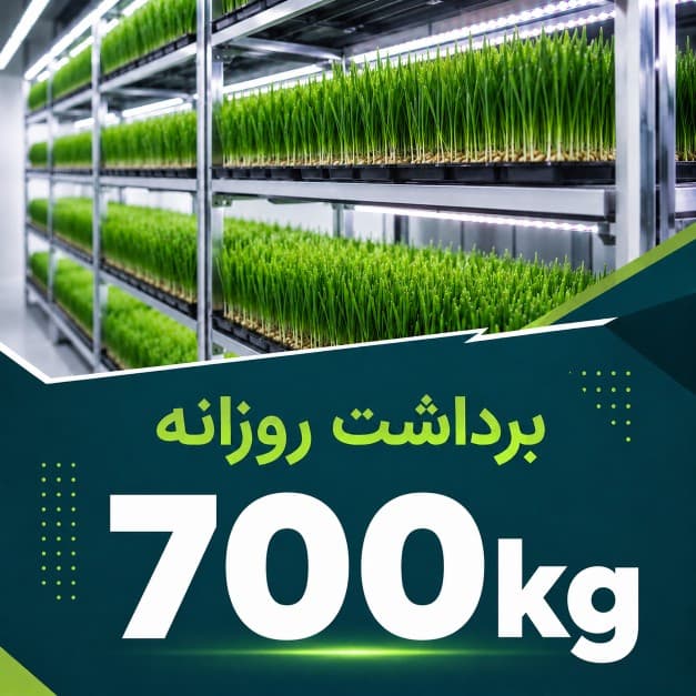 پکیج برداشت حدودی 700 کیلوگرم روزانه علوفه هیدروپونیک