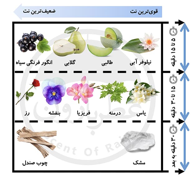 تستر ادوپرفیوم زنانه فرانک اولیویر وایت تاچ حجم 100 میلیلیتر — تصویر ۳