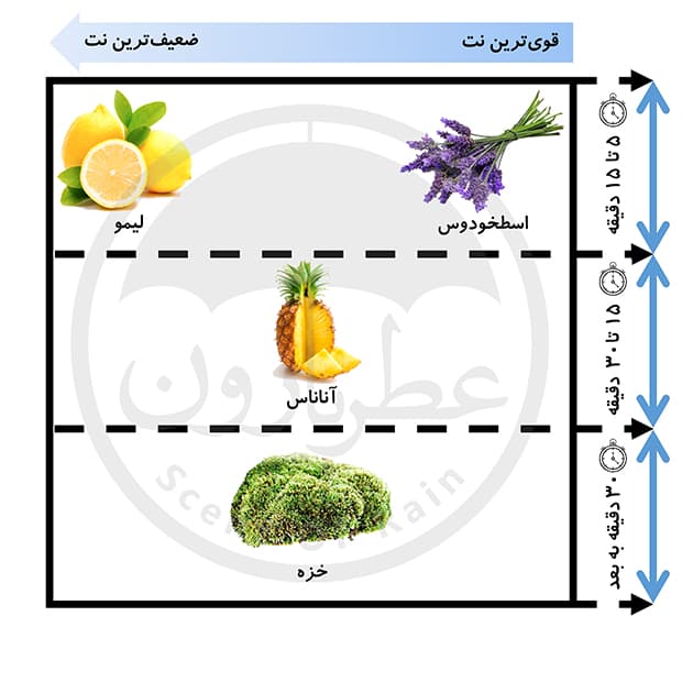 ادوپرفیوم مردانه مارک جوزف مارکونی حجم 100 میلیلیتر — تصویر ۷