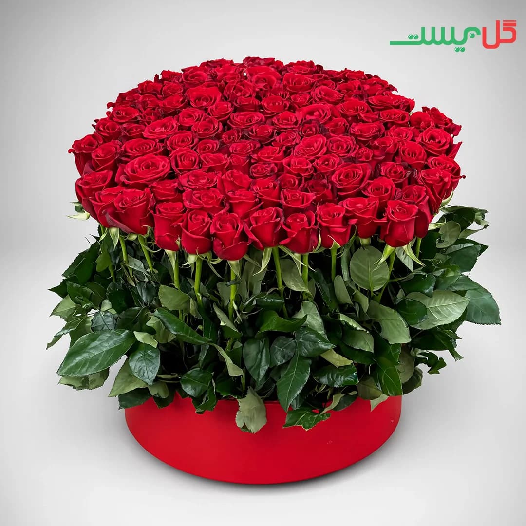 باکس گل یگانه | چیدمان یکدست رز قرمز در باکس گرد | گل فروشی آنلاین گل بیست — تصویر ۳