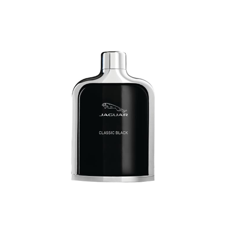 جگوار کلاسیک بلک 100 میل| JAGUAR CLASSIC BLACK — تصویر ۶