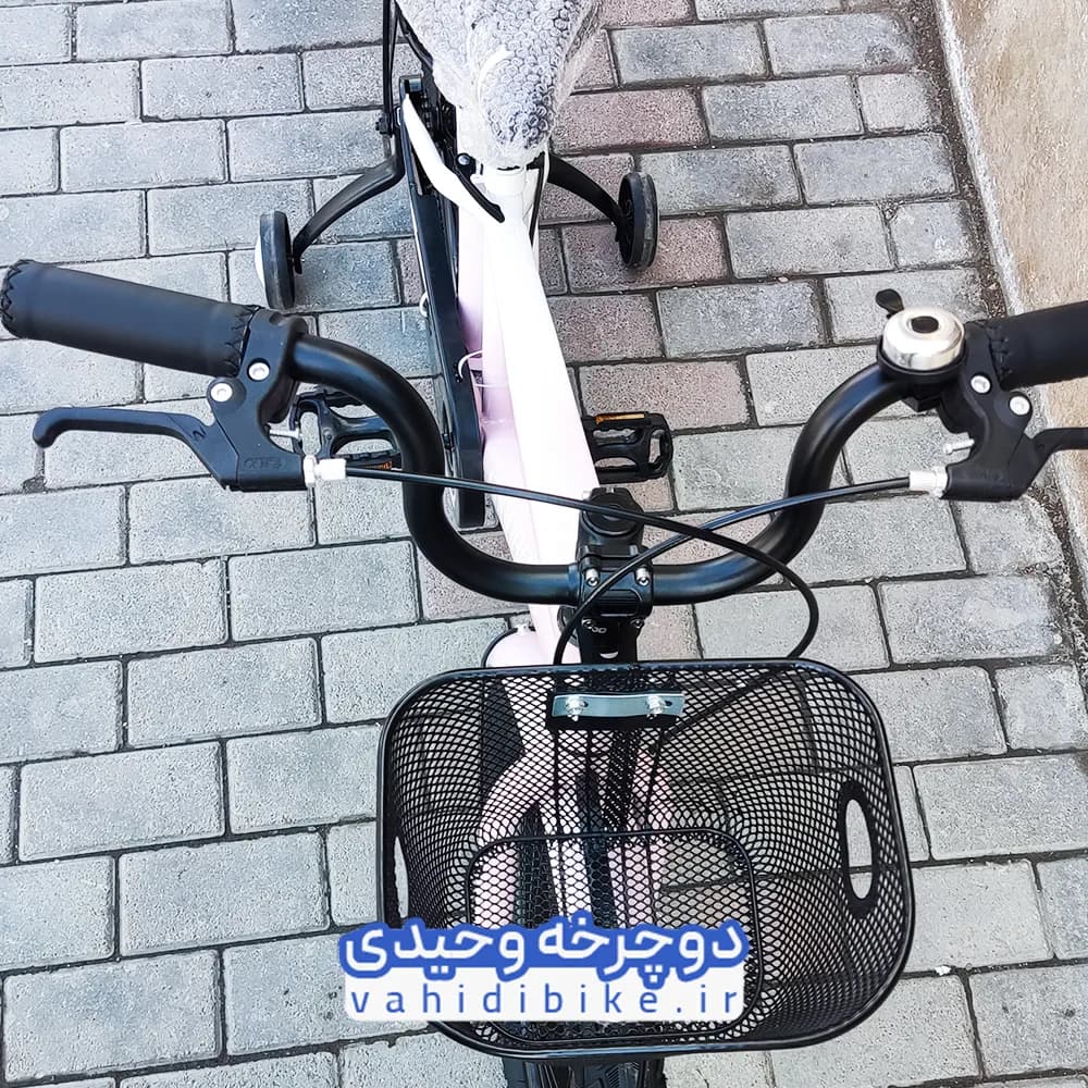 دوچرخه کودک گودبیبی سایز 20 ترمز دیسکی – GOODBABY — تصویر ۹