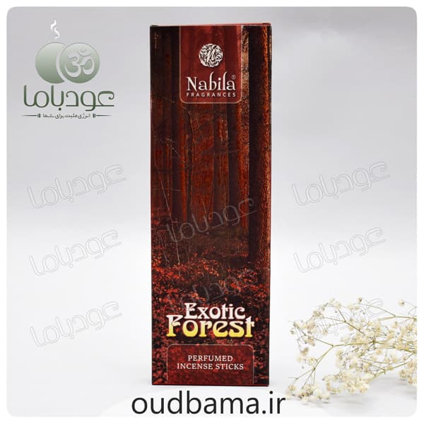 عود دست ساز جنگل عجیب اگزوتیک فورست EXOTIC FOREST ( نابیلا NABILA ) — تصویر ۳