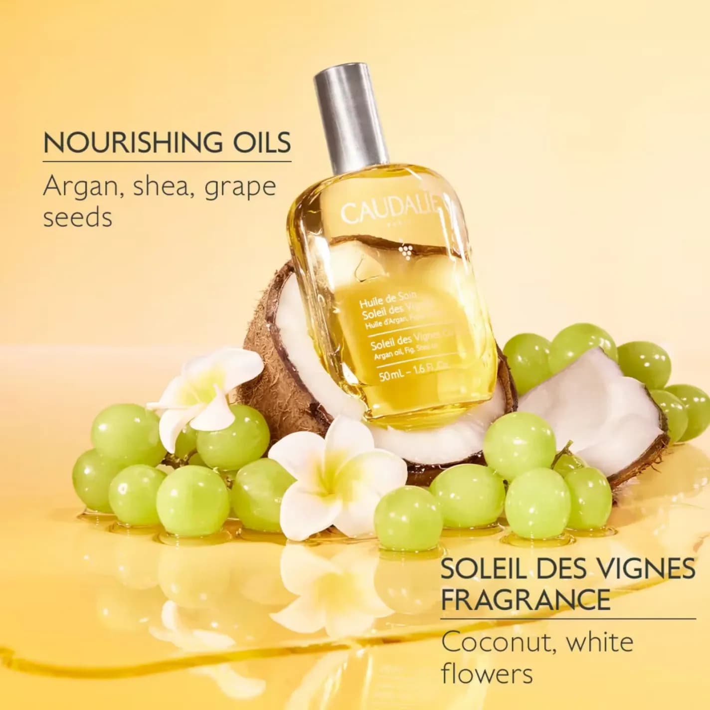 روغن الکسیر مغذی بدن کدلی مدل Soleil des Vignes حجم 50 میل — تصویر ۸