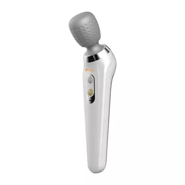 ماساژور دستی ارس مدل ARES RS H101