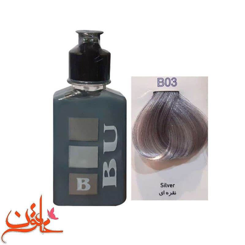 شامپو رنگساژ بیو رنگ نقره ای B03 — تصویر ۳
