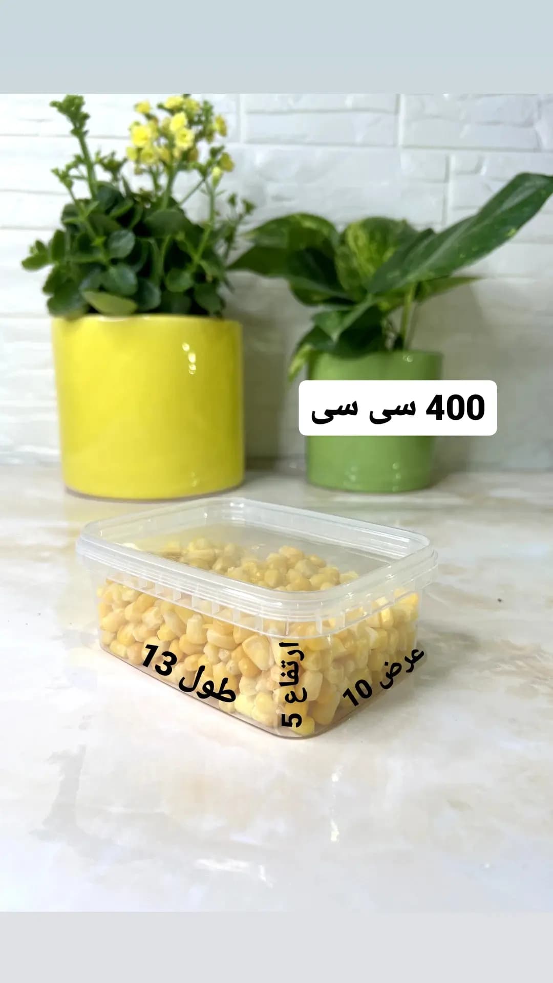 ظروف درب دار فریزری ۴۰۰ سی سی — تصویر ۸