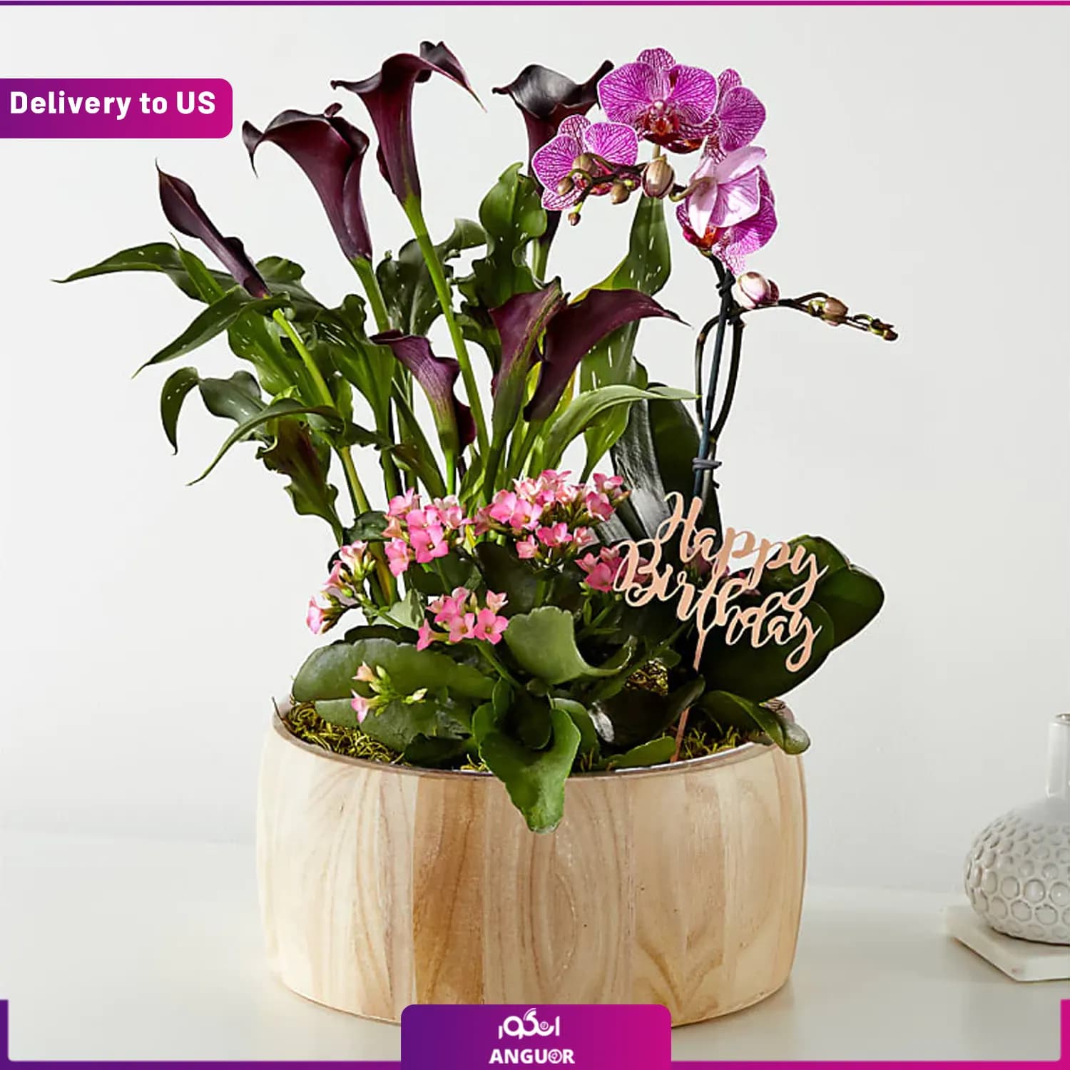 (Delivery to USA) Happy Birthday Orchid Garden — تصویر ۲