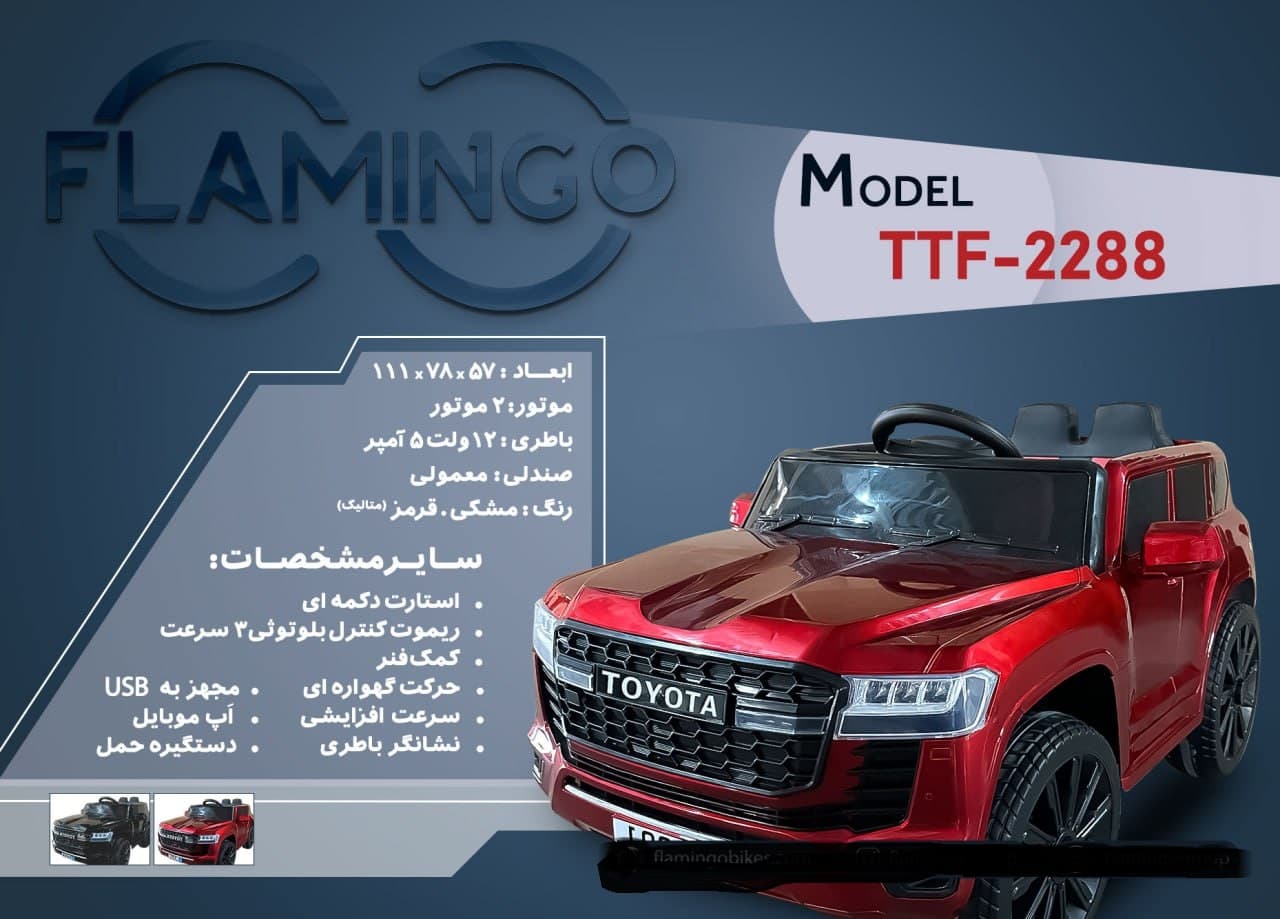 ماشین شارژی فلامینگو flamingo مدل TTF-2288 PAINT — تصویر ۳