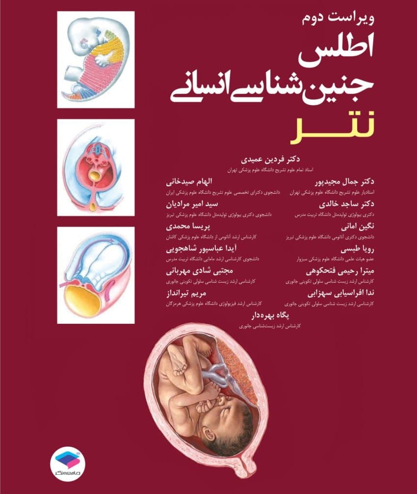 اطلس جنین شناسی انسانی نتر 2024