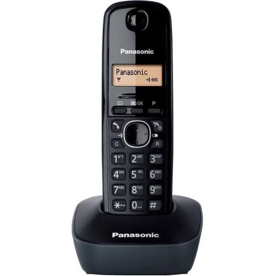 تلفن بی سیم پاناسونیک مدل Panasonic KX-TG1611 — تصویر ۲