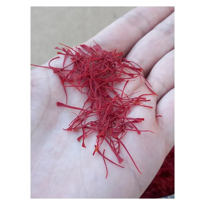 زعفران قائنات – 1 گرم — تصویر ۳