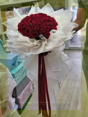 ارکیده طبیعی مناسب شرکتها، مطبها و فضاهای اداری