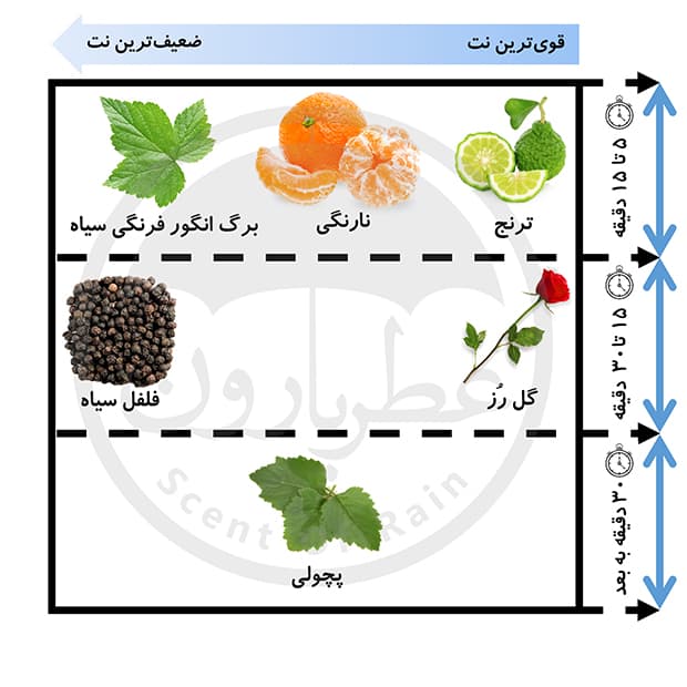 ادوپرفیوم مردانه دریم سنت نیچر حجم 35 میلیلیتر — تصویر ۶