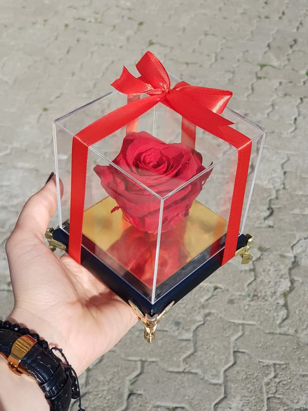 گل رز جاویدان کد 014 – گل فروشی آنلاین رزگاردن — تصویر ۹