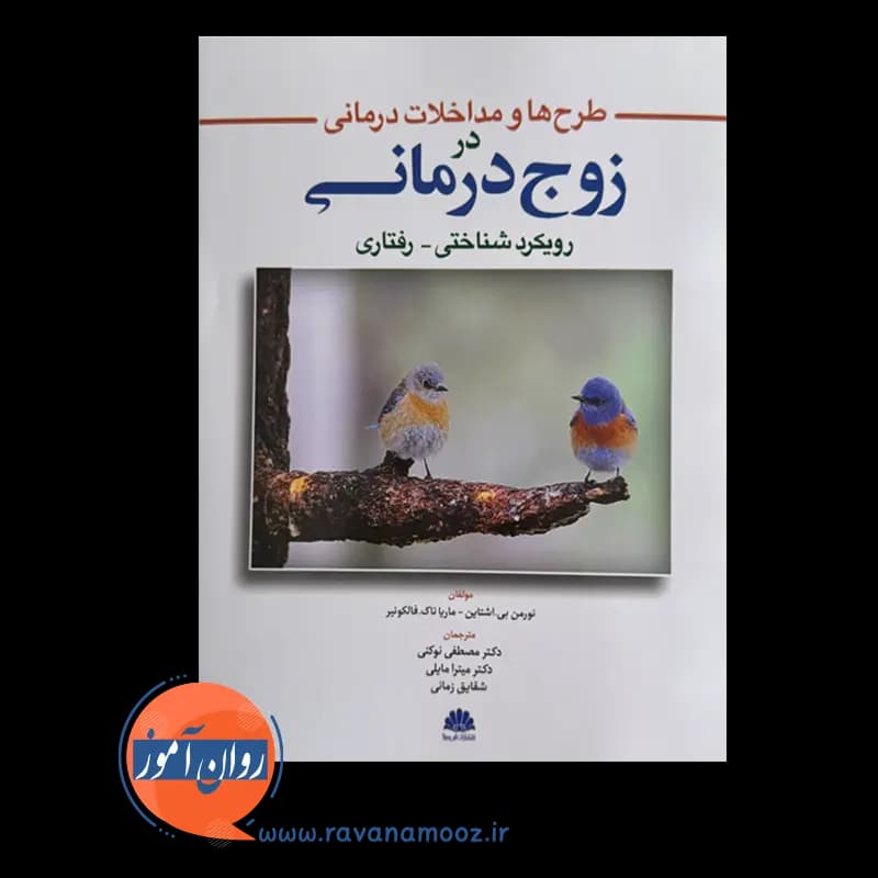 طرح ها و مداخلات درمانی در زوج درمانی (رویکرد شناختی رفتاری) — تصویر ۳