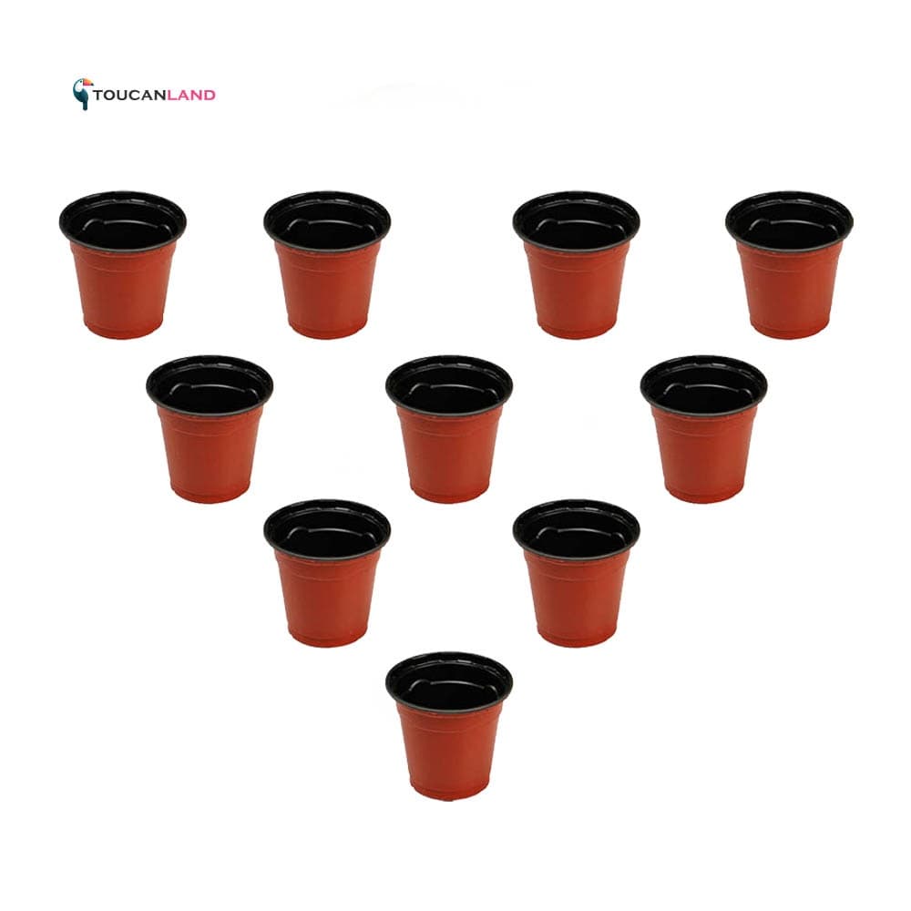 گلدان ژله ای سایز 8 بسته 50 عددی — تصویر ۵