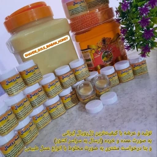 ژل رویال غذای ملکه درمانگر بی نظیراکسیر جوانی ترکیب باعسل آویشن اصل(خرید مستقیم از زنبوردار)ارسال رایگان با2م خریدازغرفه