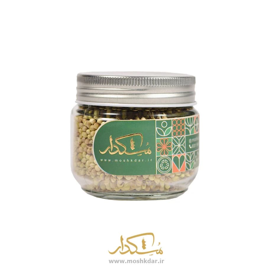 تخم گشنیز شیشه کوچک 50 گرمی