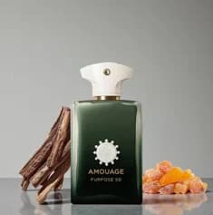 عطر اکستریت دِ پرفیوم مردانه آمواج پرپس50 (پورپس 50) — تصویر ۳