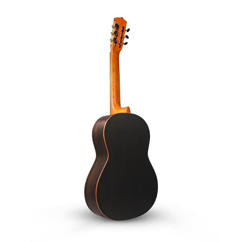 گیتار پارسی K90 — تصویر ۵