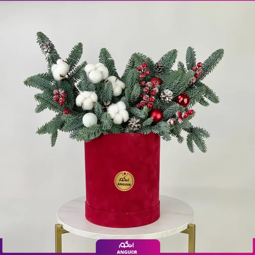 باکس گل کریسمس به همراه گل پنبه (سال نو میلادی)