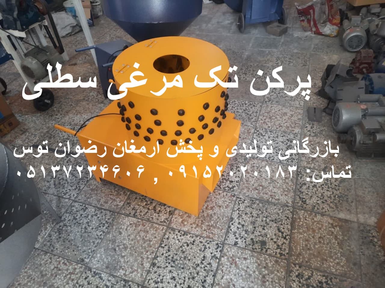 پرکن تک مرغی سطلی — تصویر ۵