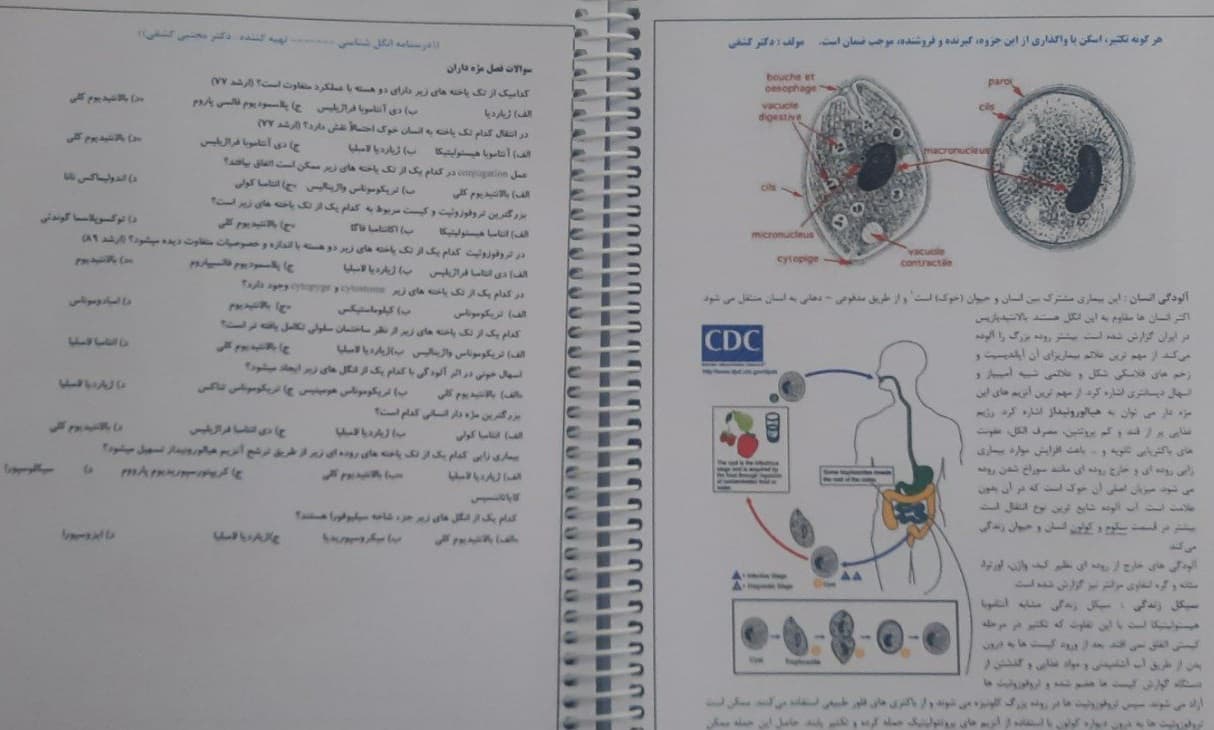 درسنامه اختصاصی تکمیلی دکترای علوم آزمایشگاهی درس انگل شناسی (ترجمه دکتر کشفی) — تصویر ۱۰