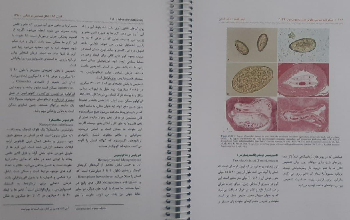 درسنامه اختصاصی تکمیلی دکترای علوم آزمایشگاهی درس انگل شناسی (ترجمه دکتر کشفی) — تصویر ۶