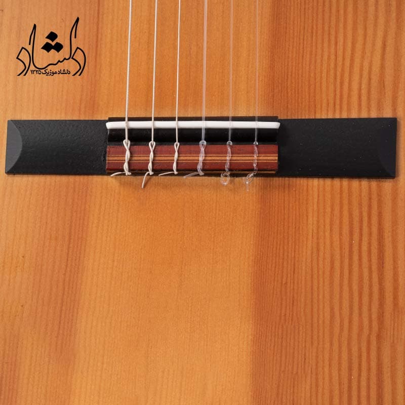 گیتار آگرین طرح 6 — تصویر ۶
