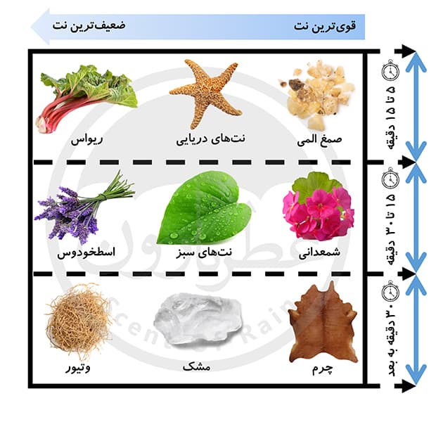 تستر ادوتویلت مردانه پلیس دیپ بلو حجم 100 میلیلیتر — تصویر ۵