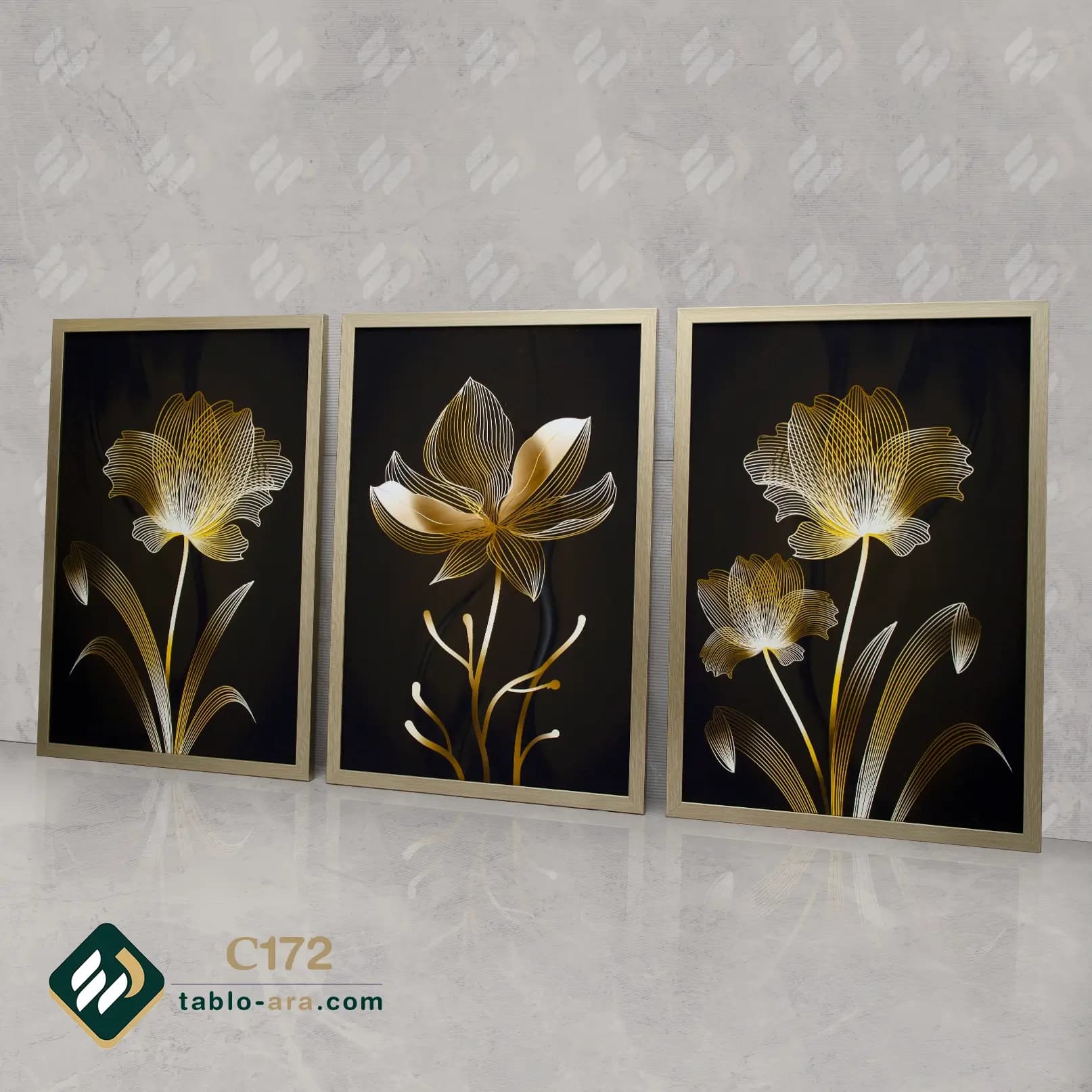 مجموعه تابلو دکوراتیو سه عددی کد C172