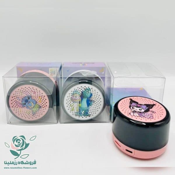 اسپیکر شارژی طرح سالیوان کرومی استیج