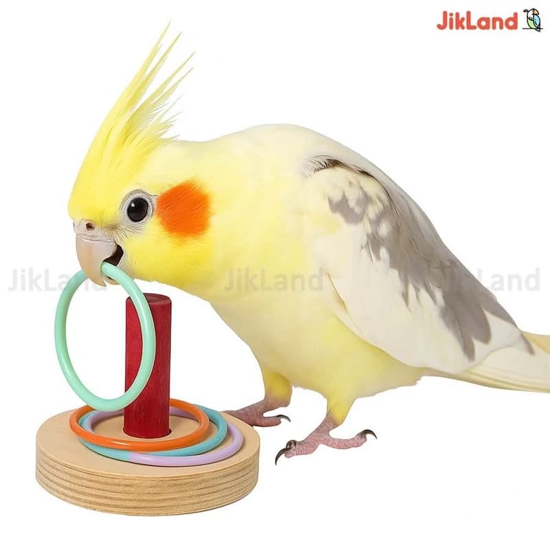 اسباب بازی عروس هلندی، طوطی، فنج، مرغ عشق، کوتوله و… مدل حلقه بازی