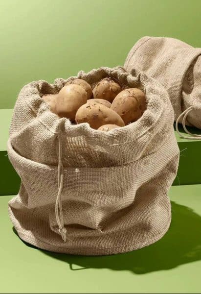 کیسه سیب زمینی چیبو آلمان