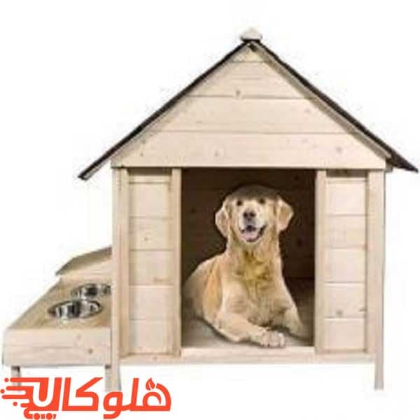 خانه سگ و گربه(پت)