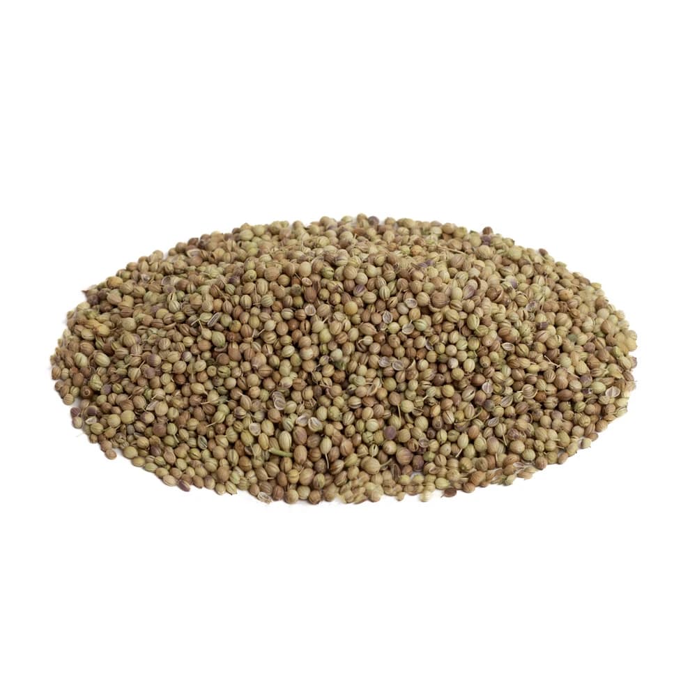 دانه گشنیز
