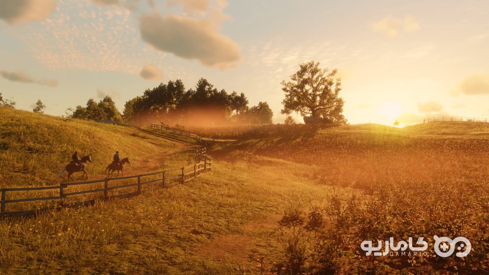 اکانت ظرفیتی Red Dead Redemption 2 — تصویر ۹