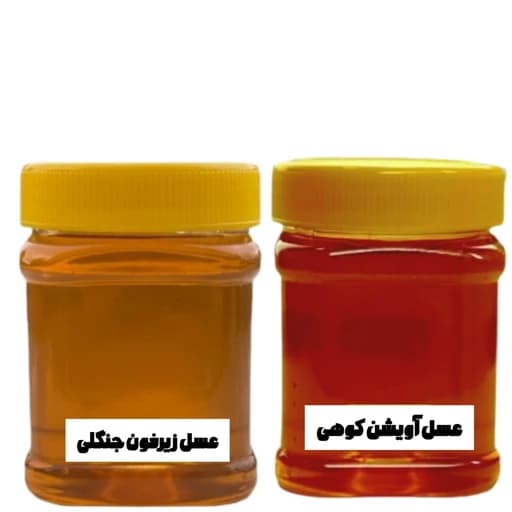 عسل طبیعی یک کیلویی دو نوع ( در ظرف نیم کیلویی) — تصویر ۲