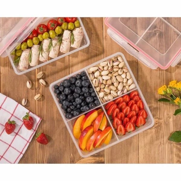 ظرف فریزری 4 خانه S2204