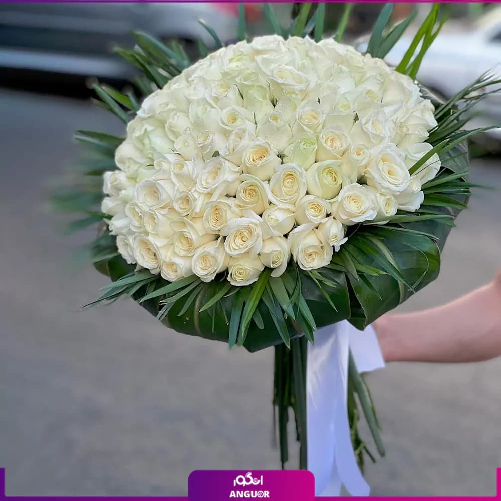 دسته گل بزرگ رز سفید – ۱۰۱ شاخه — تصویر ۵