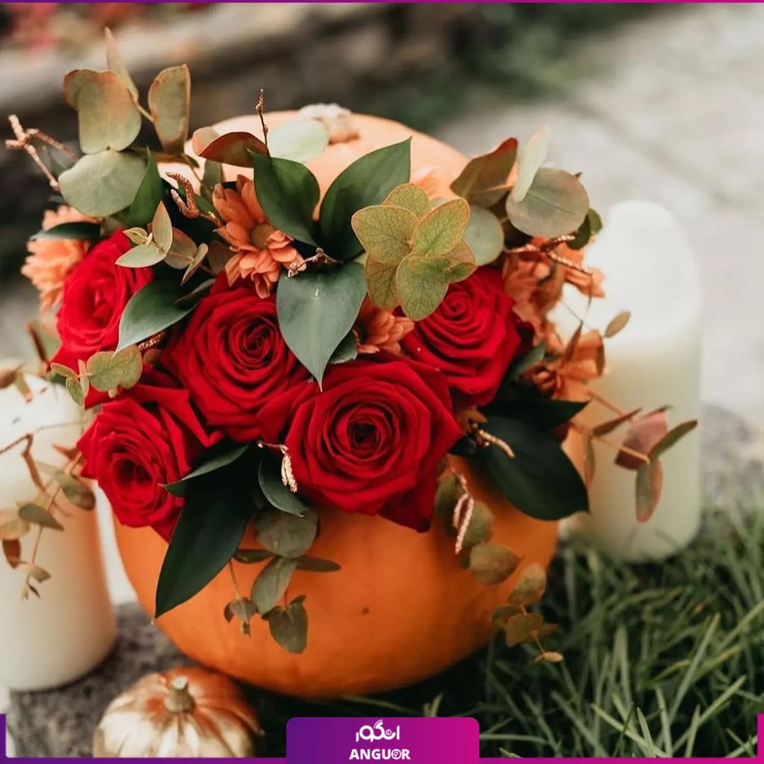 باکس گل هالووین — تصویر ۵