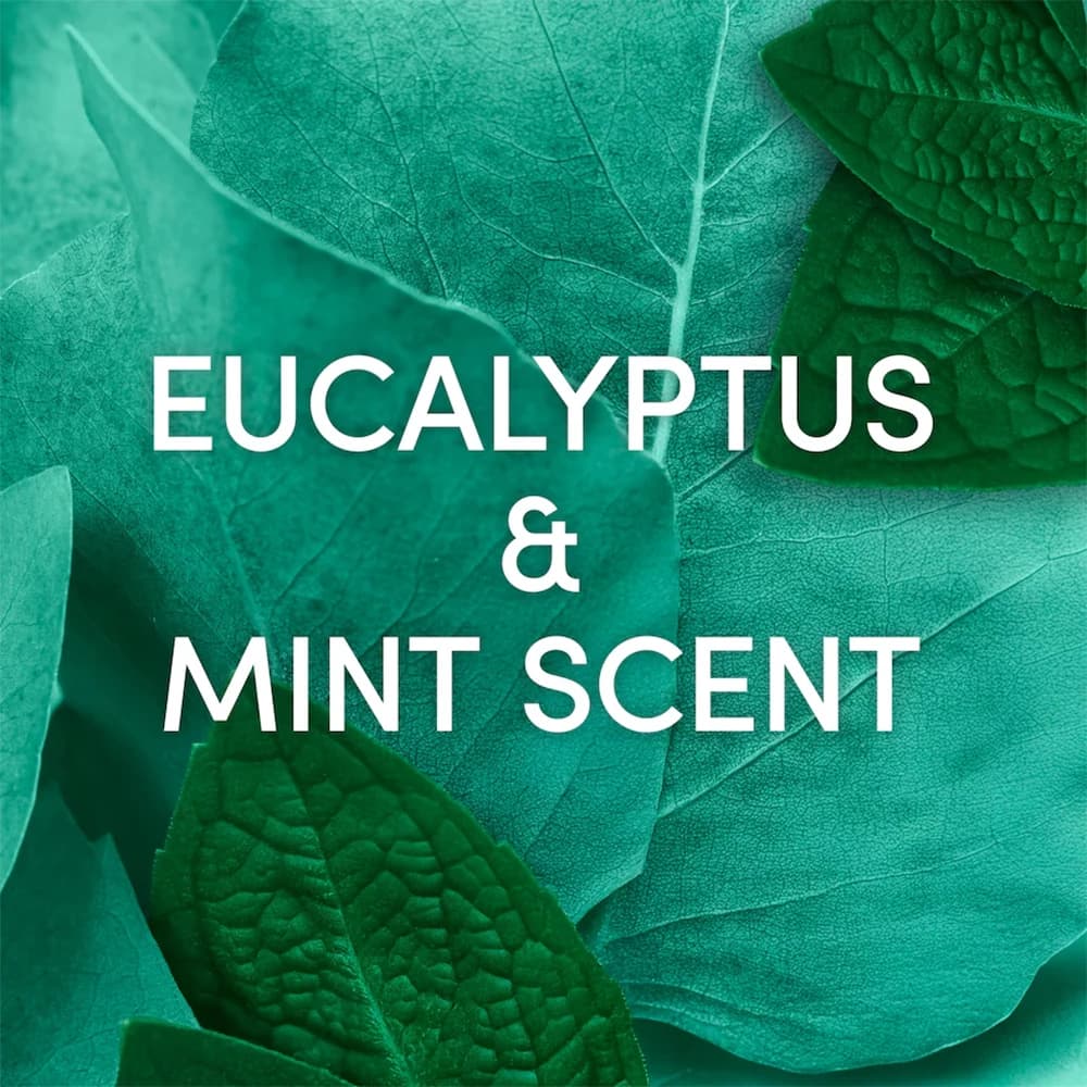 اسپری دئودورانت مردانه داو انگلیس (UK) مدل EUCALYPTUS + MINT حجم 250 میلیلیتر — تصویر ۳