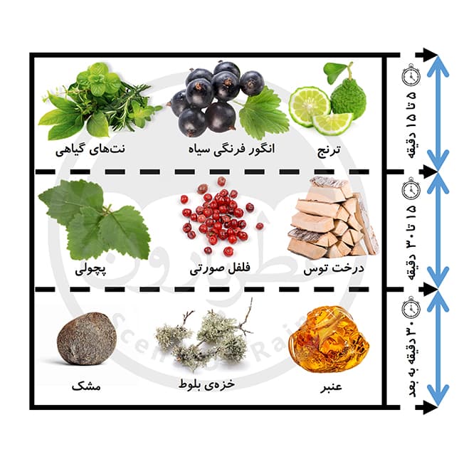اسپری مردانه عمادآرا ایگنایت حجم 200 میلیلیتر — تصویر ۳