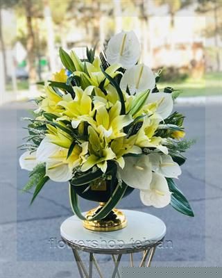 سفارش آسان رز هلندی سفید فقط با چند کلیک